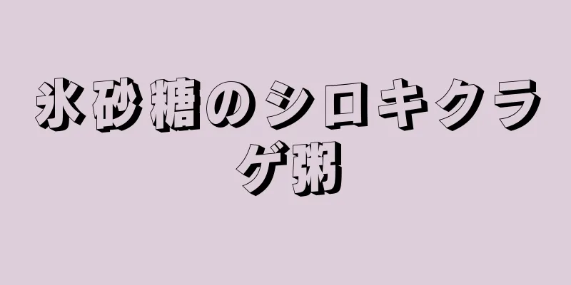 氷砂糖のシロキクラゲ粥