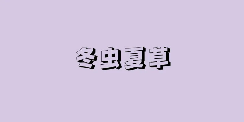 冬虫夏草