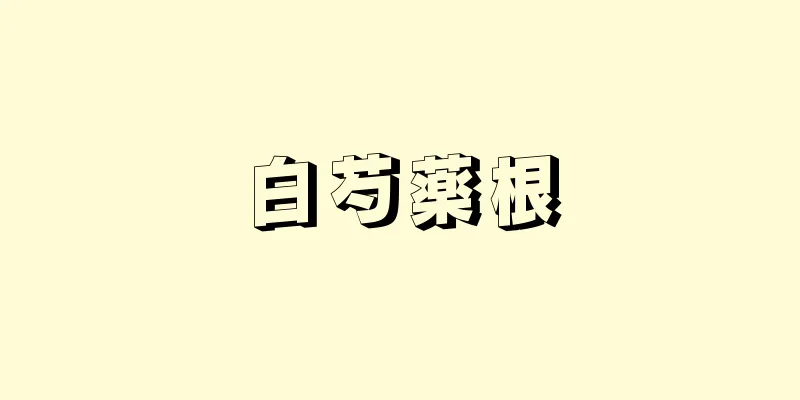 白芍薬根