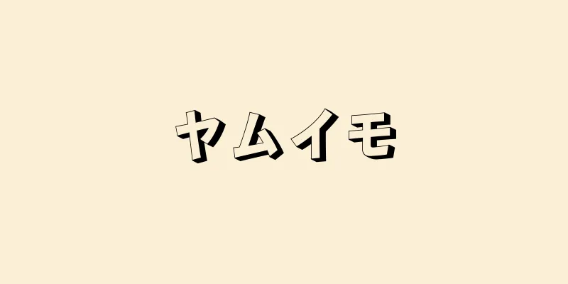 ヤムイモ