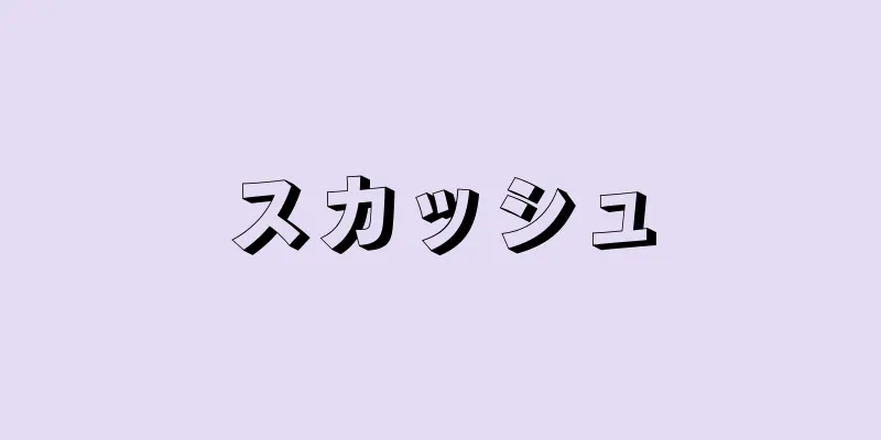 スカッシュ