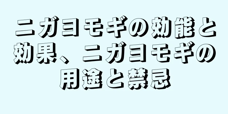 ニガヨモギの効能と効果、ニガヨモギの用途と禁忌