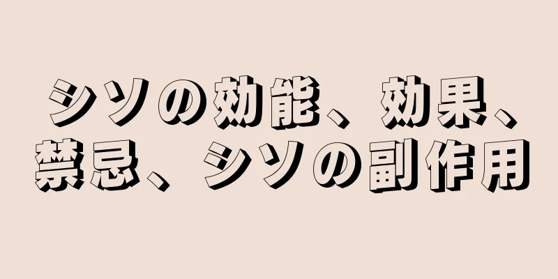 シソの効能、効果、禁忌、シソの副作用