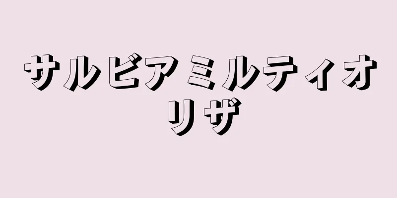 サルビアミルティオリザ
