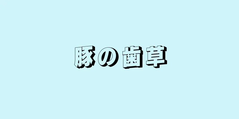 豚の歯草