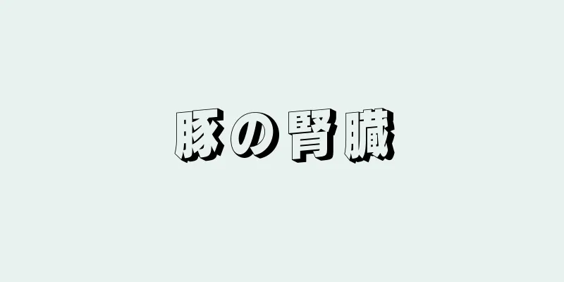 豚の腎臓
