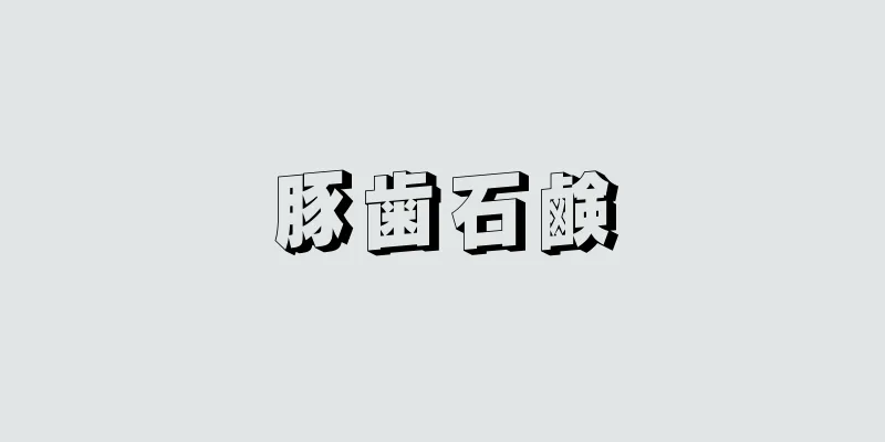 豚歯石鹸