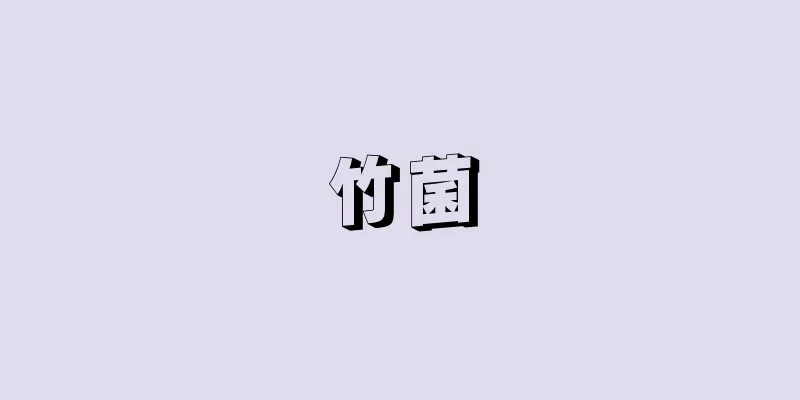竹菌