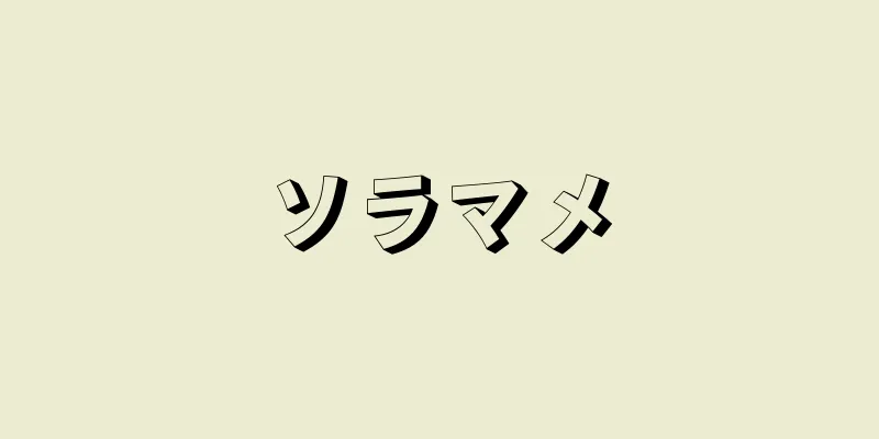 ソラマメ