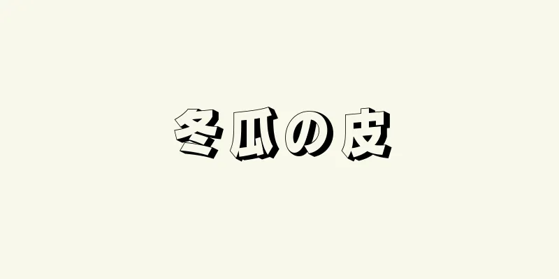 冬瓜の皮
