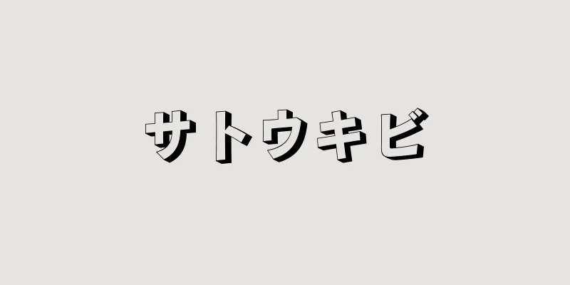 サトウキビ