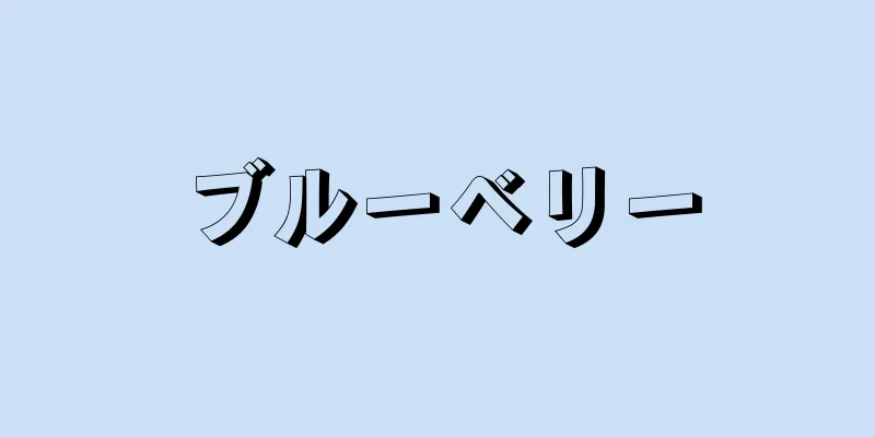 ブルーベリー