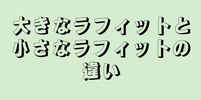 大きなラフィットと小さなラフィットの違い