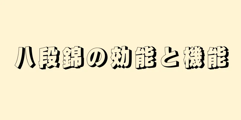 八段錦の効能と機能