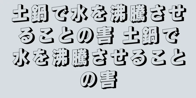 土鍋で水を沸騰させることの害 土鍋で水を沸騰させることの害