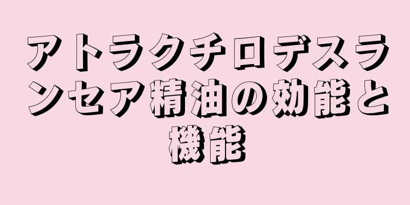 アトラクチロデスランセア精油の効能と機能