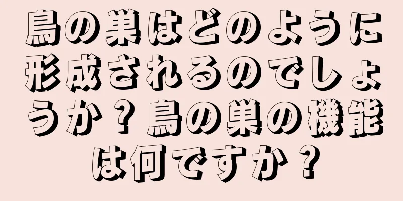 鳥の巣はどのように形成されるのでしょうか？鳥の巣の機能は何ですか？