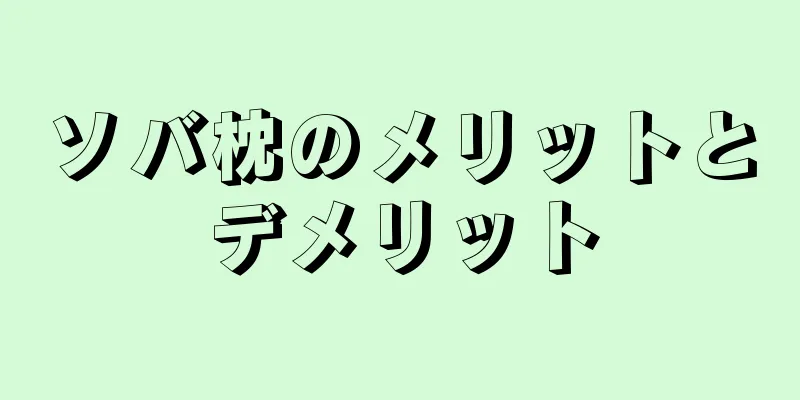 ソバ枕のメリットとデメリット