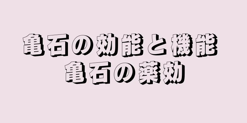 亀石の効能と機能 亀石の薬効