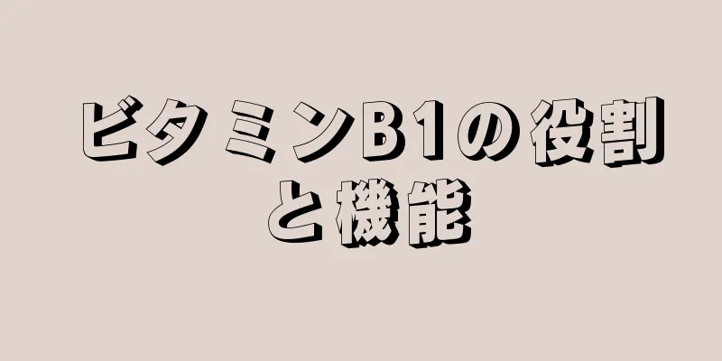 ビタミンB1の役割と機能