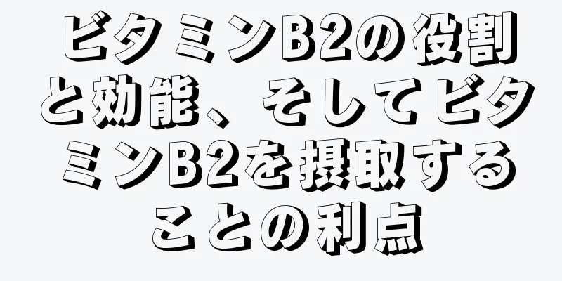 ビタミンB2の役割と効能、そしてビタミンB2を摂取することの利点
