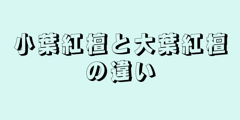 小葉紅檀と大葉紅檀の違い