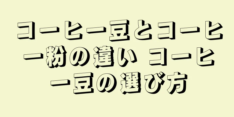 コーヒー豆とコーヒー粉の違い コーヒー豆の選び方