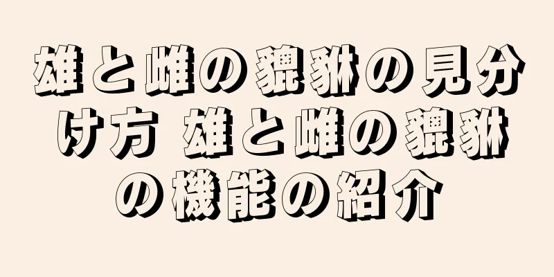 雄と雌の貔貅の見分け方 雄と雌の貔貅の機能の紹介