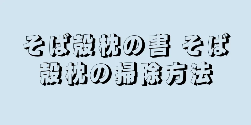 そば殻枕の害 そば殻枕の掃除方法