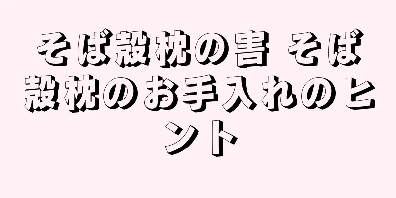 そば殻枕の害 そば殻枕のお手入れのヒント