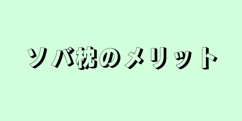 ソバ枕のメリット