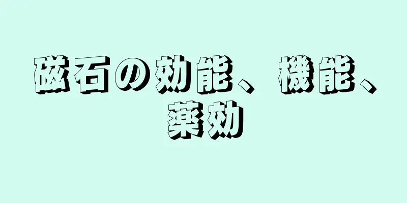 磁石の効能、機能、薬効