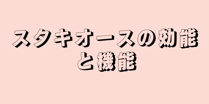 スタキオースの効能と機能
