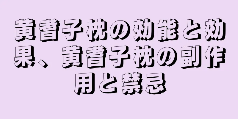 黄耆子枕の効能と効果、黄耆子枕の副作用と禁忌