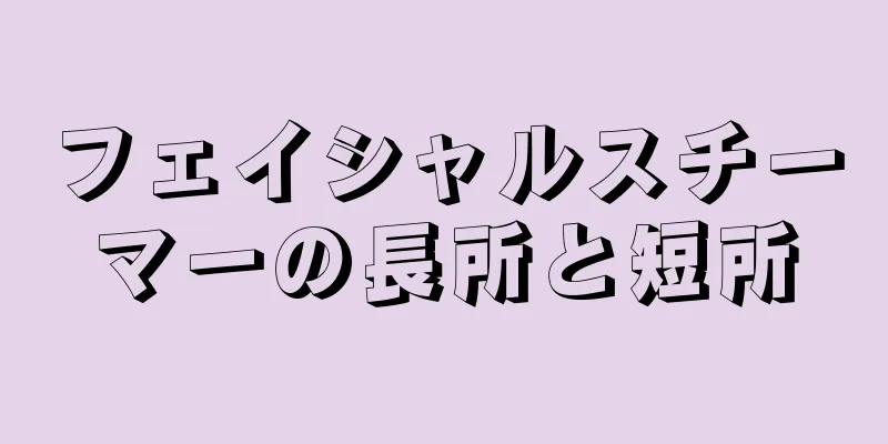 フェイシャルスチーマーの長所と短所