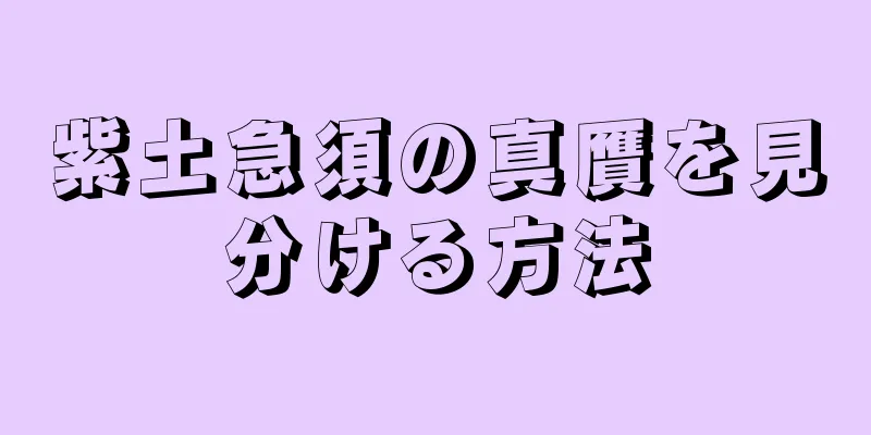 紫土急須の真贋を見分ける方法