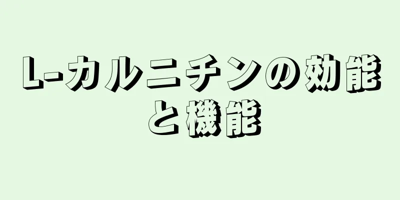L-カルニチンの効能と機能