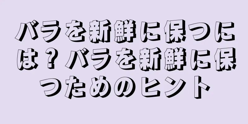 バラを新鮮に保つには？バラを新鮮に保つためのヒント