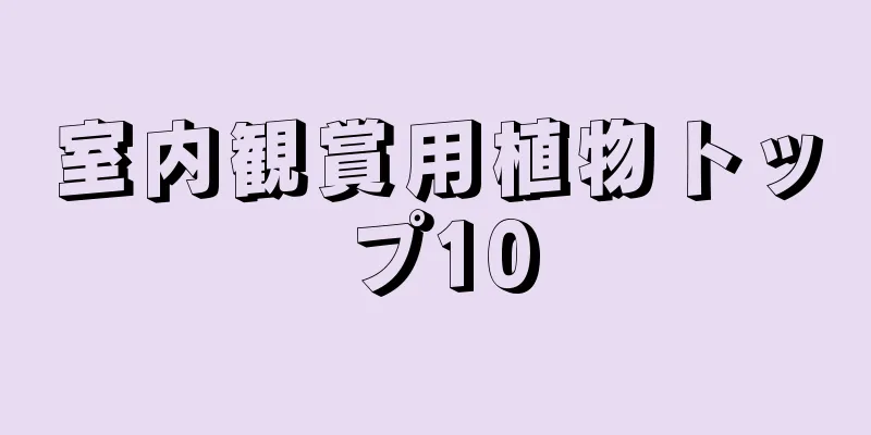 室内観賞用植物トップ10