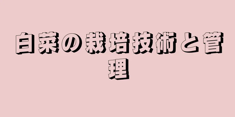 白菜の栽培技術と管理