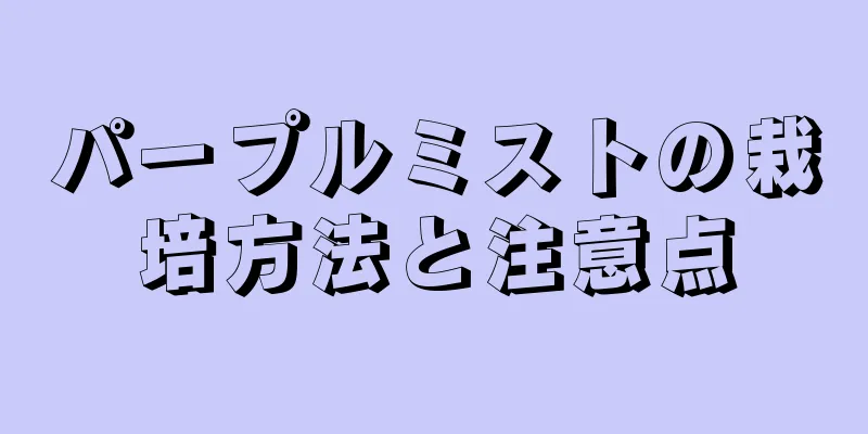 パープルミストの栽培方法と注意点