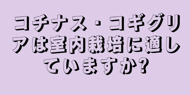 コチナス・コギグリアは室内栽培に適していますか?