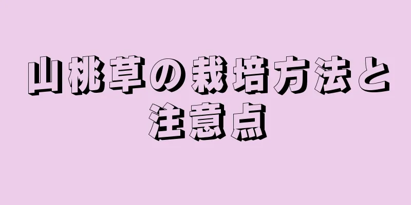 山桃草の栽培方法と注意点
