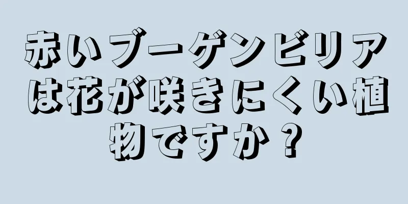 赤いブーゲンビリアは花が咲きにくい植物ですか？