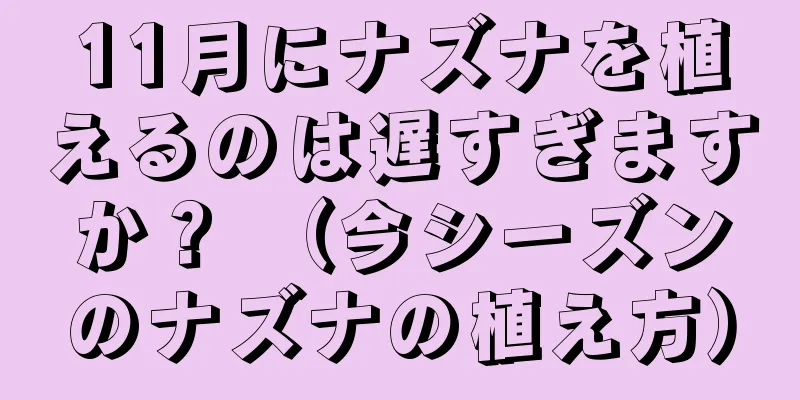 11月にナズナを植えるのは遅すぎますか？ （今シーズンのナズナの植え方）
