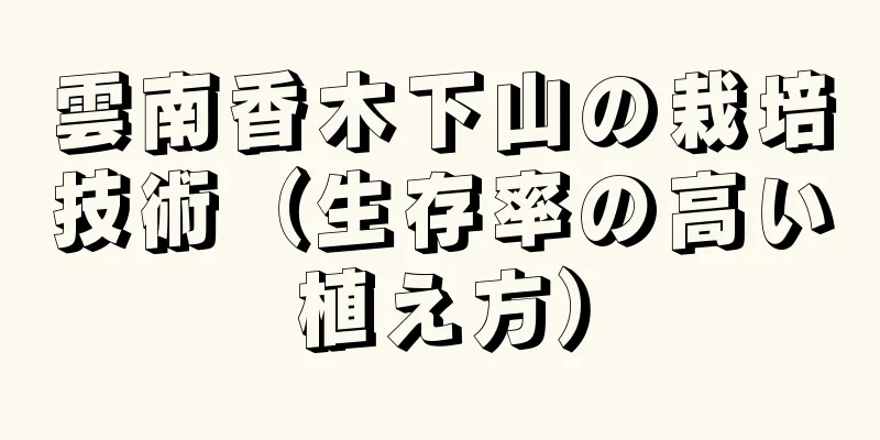 雲南香木下山の栽培技術（生存率の高い植え方）