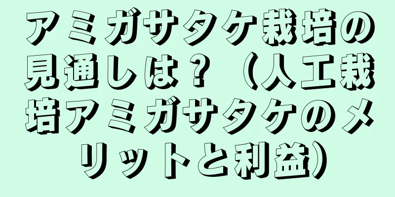 アミガサタケ栽培の見通しは？（人工栽培アミガサタケのメリットと利益）