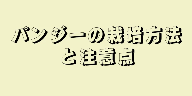 パンジーの栽培方法と注意点