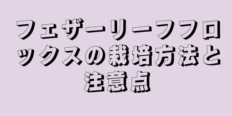 フェザーリーフフロックスの栽培方法と注意点