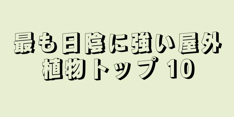 最も日陰に強い屋外植物トップ 10
